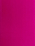Neon Pink