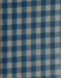 Gingham Blue